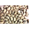 White cowpea beans / Quality Red cowpea beans