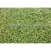 new stock Green Mung Beans for sale