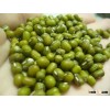 High Quality Green Mung Beans Foul Medames