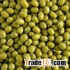 Green Mung Beans