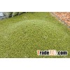High Quality green mung bean for food,grade a green mung bean price