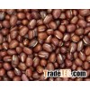 Adzuki vigna Beans.