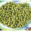 Jilin High qualtiy Green Mung Bean,Non-gmo green mung bean,good quality,2013 crop