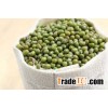 Top Quality Fresh,Frozen And Dried Green