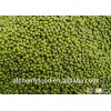 Chinese high quality green beans