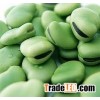 Broad beans 2015 sales
