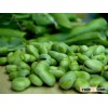 Broad Beans