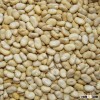 2015 Crop Broad Beans Fava Beans Price