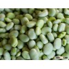 new crop broad beans faba beans