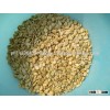 High Quality Dried and Frozen Broad Beans ready for supply