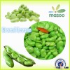 Frozen green broad beans/Fava beans 2015 new crop