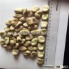 Broad Bean Clean and Hand Pick GRADE A FOR SALE HOT SALES