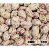 Xinjiang round light speckled kidney bean/LSKB