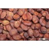 Dried Broad Beans bulk dry fava beans