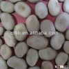 Origin from China Broad beans/ Fava Beans