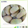 health food broad bean snack