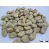 Chinese faba beans