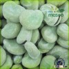 Chinese broad beans,Fava beans,Green broad beans