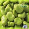 Chinese broad beans,Fava beans,Green broad beans,Green beans