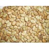 BROAD BEANS
