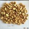 Chinese faba beans fava beans broad bean horse beans for export