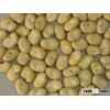 Broad Bean