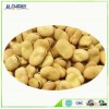 2015 New Crops chinese broad bean