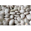White Butter Beans for sale !!.