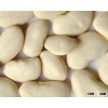 Dry White Butter Beans