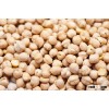 Chick peas Best Quality