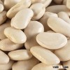 Perfect Butter Beans For Sale