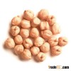 chick pea