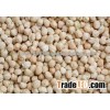 Peas, Dried Chick peas,new crop