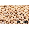 Hot Sale Kabuli Chickpeas