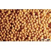 Kabuli chickpeas,garbanzo bean, pois chiche, chick peas etc