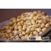 Best quality Kabuli/Desi Chickpeas at cheap prices