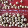Desi chickpeas from China