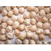 Chickpea