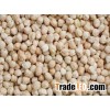 Chickpeas