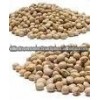 KABULI CHANA