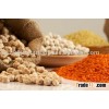 INDIAN CHICKPEAS