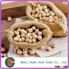 Salted Fried Chick Peas