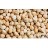 Kabuli Chickpeas New Crop Availabe.