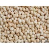 Chick Peas for sale