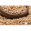 chick pea kabuli variety