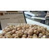 Top Quality Kabuli Chickpeas Price