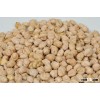 Chick pea