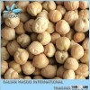 Hot Selling Bulk Dried Iranian Desi Chickpea
