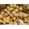 Kabuli Peas - 12 MM