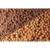Best quality Kabuli/Desi Chickpeas at cheap prices